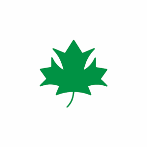 High Rise Condo Windows