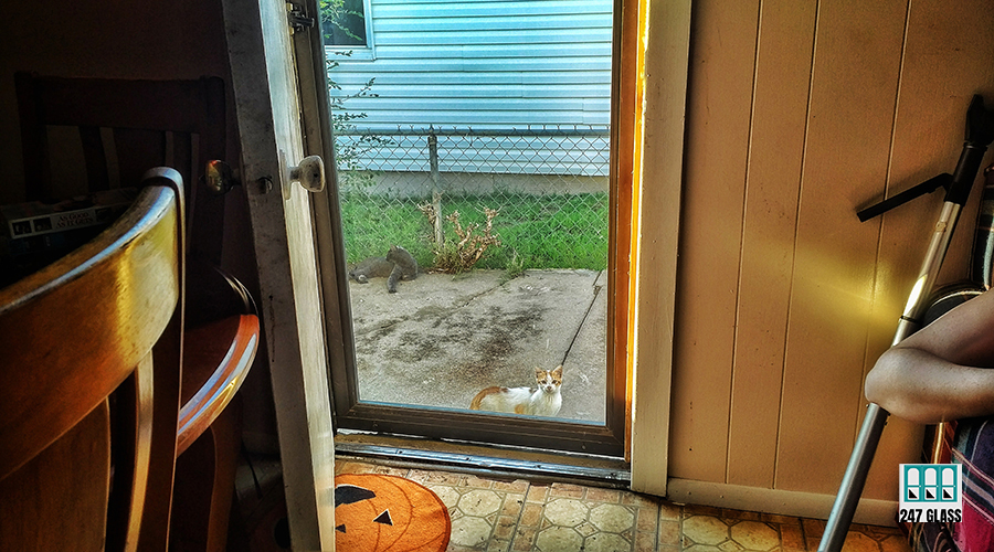 close-up-hand-car-window-against-building close-up-hand-car-window-against-building