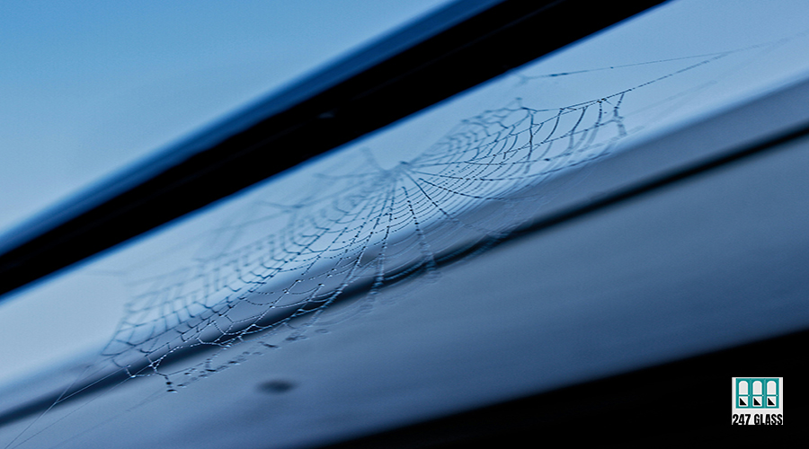 louis-tripp-pH35RMWsnKY-unsplash louis-tripp-pH35RMWsnKY-unsplash