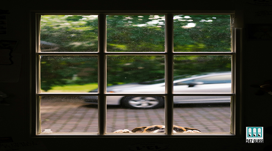 skyler-gerald-jV_gkzMYFOY-unsplash Porch Door Glass Repair