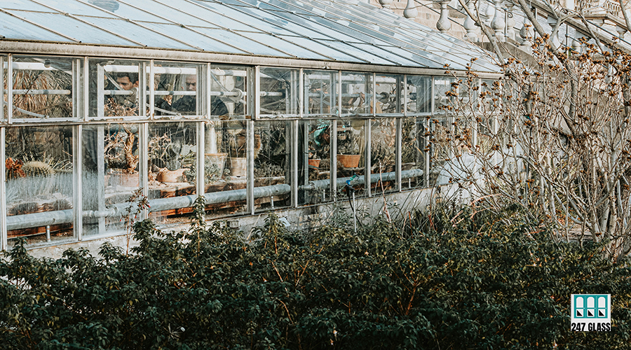 beatriz-kim-6SwSM9mX02Y-unsplash beatriz-kim-6SwSM9mX02Y-unsplash