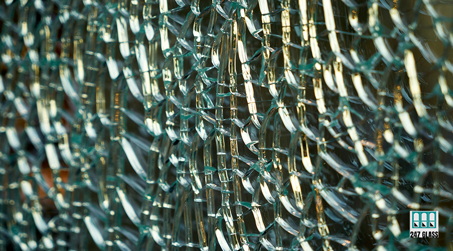 kirsten-kluge-B_sUu05flPs-unsplash kirsten-kluge-B_sUu05flPs-unsplash