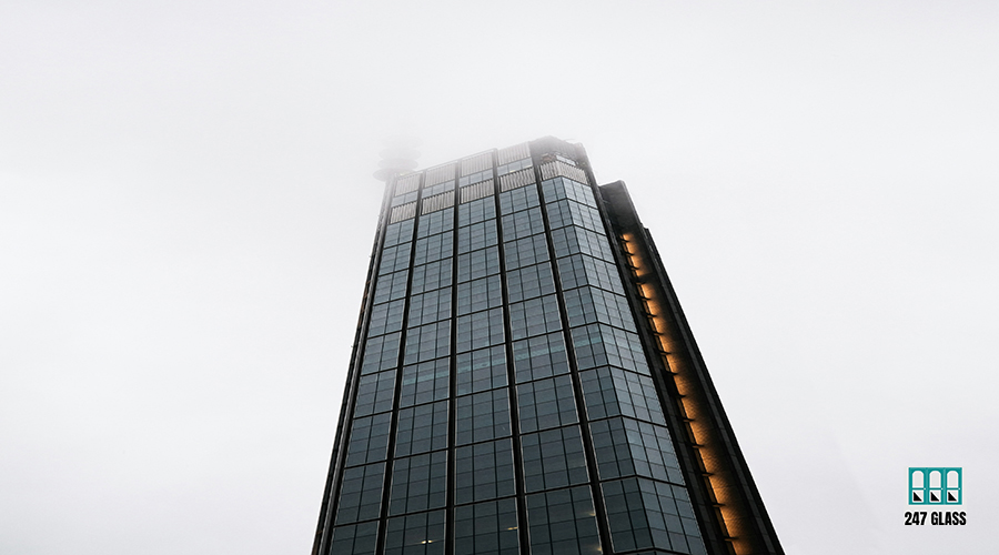 sonia-dauer-L1BYA45FxfM-unsplash sonia-dauer-L1BYA45FxfM-unsplash